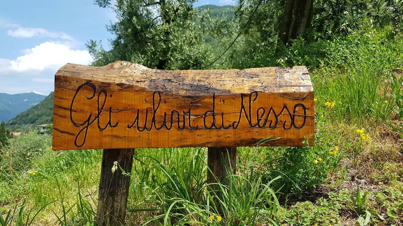 Dom wakacyjny Willa Gli Ulivi Di Nesso