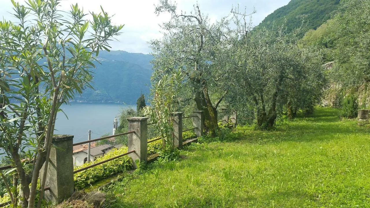 Willa Gli Ulivi Di Nesso