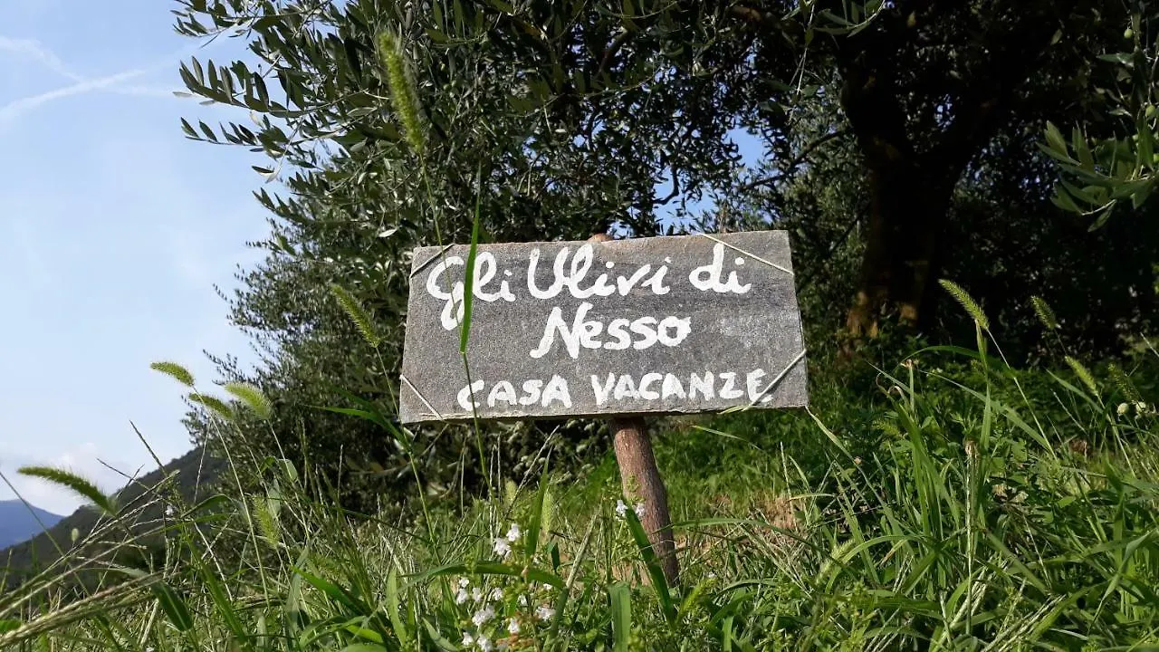Villa Gli Ulivi Di Nesso Ferienhaus